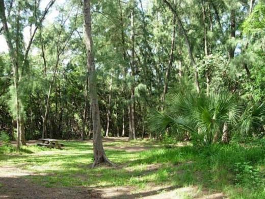 1277_640x481.jpg Photo 2