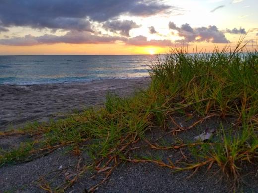 Turtle Beach Park - Sunset and Sand Dune Photo 2