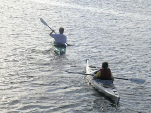 1329_640x481.jpg Photo