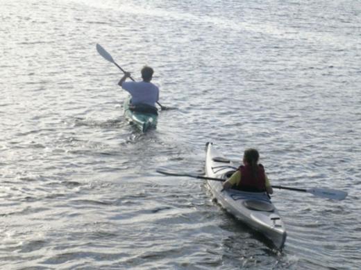 1329_640x481.jpg Photo