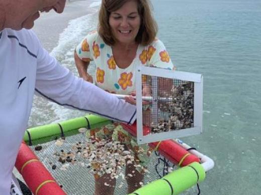 Shark Teeth Adventure - Family friendly Shark Teeth Adventure Tour - for all kids 5 to 95! (Includes a 'bite'!) Photo