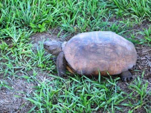 1225_640x481.jpg Photo 2