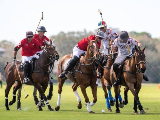 Sarasota Polo Club Photo