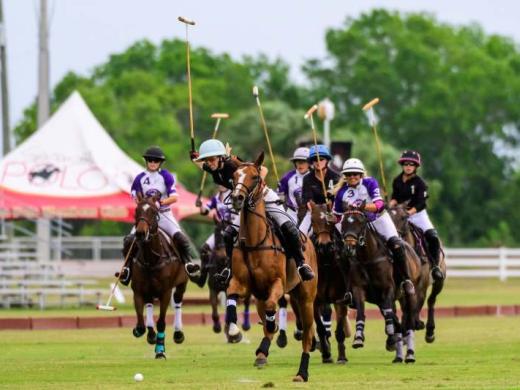 Sarasota Polo Club Photo 2