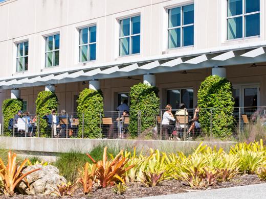 The Ringling Grillroom, outdoor dining - The Ringling Grillroom features Modern American fare in a beautiful setting overlooking the Bayfront Gardens and the grounds of the Ringling Estate Photo 2