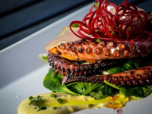 Fins at Sharky's - Savor Listing Image 8 Photo 8