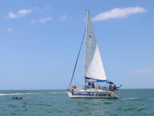 Sail Photo 4