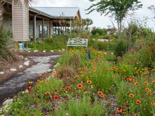 Sarasota Audubon Society Nature Center - The Nature Center is nestled within a native plant garden at the Celery Fields. Photo