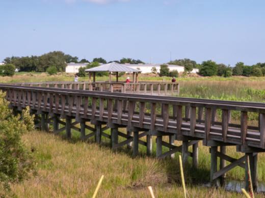 The boardwalk at Raymond Road; South Cell, Celery Fields - Two elevated boardwalks extend over the wetlands at Raymond Road and Palmer Boulevard, providing excellent bird and wildlife viewing. Photo 4