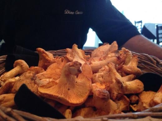 6251_640x480.jpg - Fresh Mushrooms Photo 4