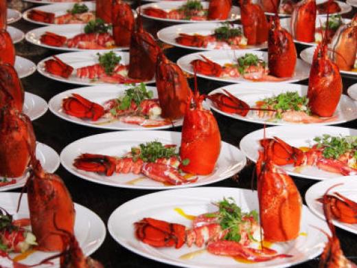 Lotsa Lobsters! Photo 11