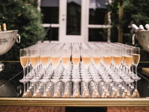 Champagne Reception (Example) Photo 14