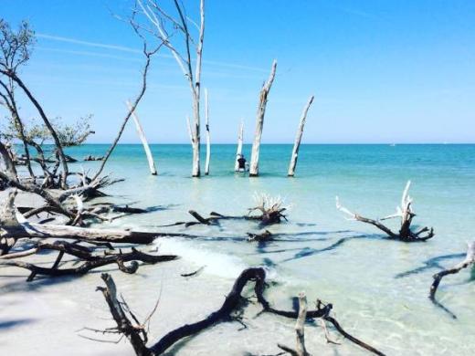 Longboat Key Kayaking - Longboat Key Kayaking Photo