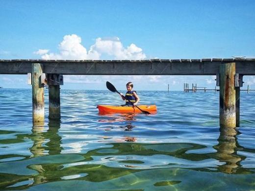 Family Kayaking Sarasota - Family Kayaking Sarasota Photo 17