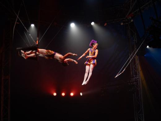 Flying Trapeze-Mr. Swindle - Flying Trapeze-Mr. Swindle's Traveling Peculiarium Photo 5