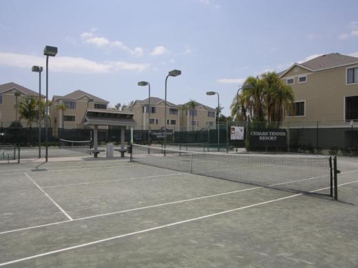 Tennis Courts Photo 3