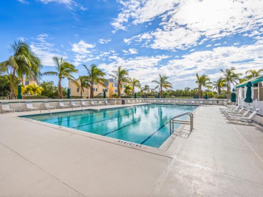 Cedars Junior Olympic Size Swimming Pool Photo 6