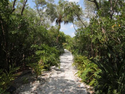 Biking Paths Photo 10