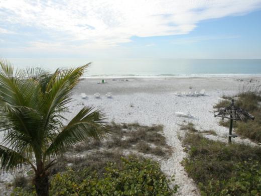 Beachfront View Photo 10