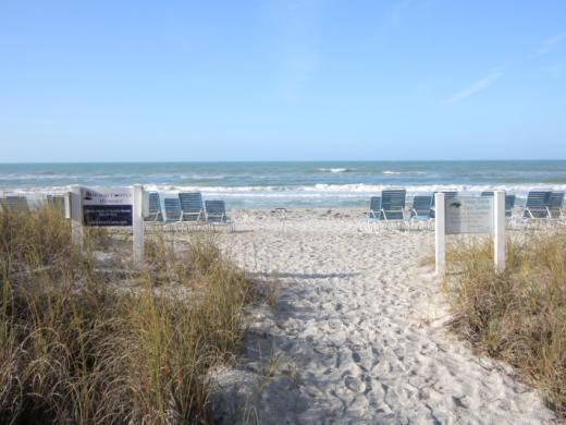 Gulf of Mexico / Beach Access Photo 8