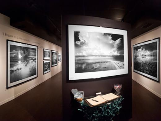 St. Armands Gallery Photo 5