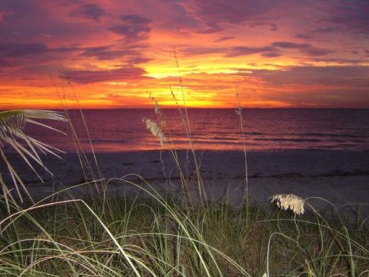 16_737x480.jpg - Englewood Beach at Sunset Photo