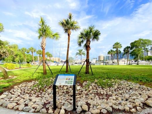 Bioswale at Bayfront Park - What is a Bioswale? A bio-Swale is a form of bioretention designed to capture and treat stormwater runoff from hard surfaces like sidewalks, driveways, roadways and roof... Photo 2