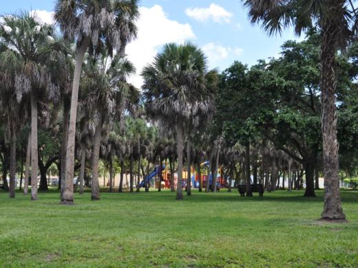 Orange Avenue Park - Spend the day at this wonderful park! It has a basketball court, picnic tables, a playground, swing-set, and benches to sit on. Photo