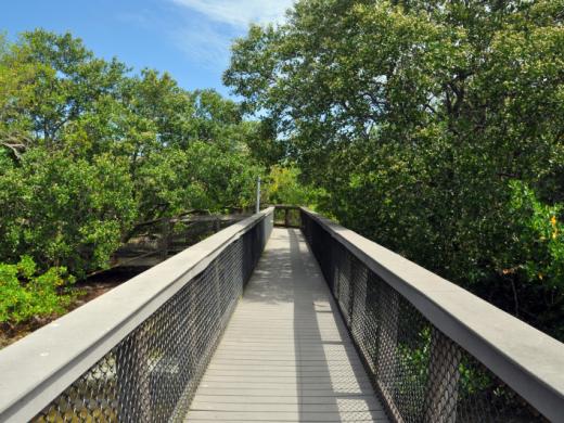 Sarasota Bay Walk Photo