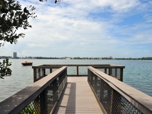 Sarasota Bay Walk Photo 2