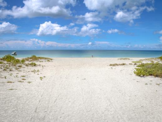 Chauncy Howard Park Photo