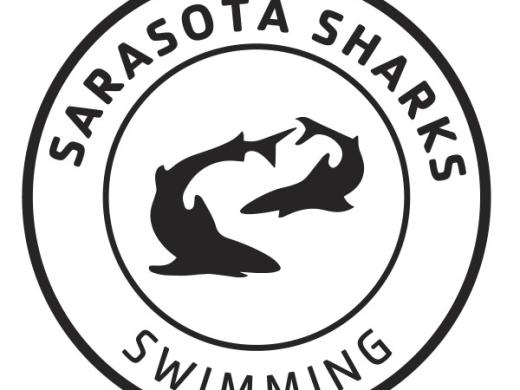 Sarasota Sharks Swimming Photo