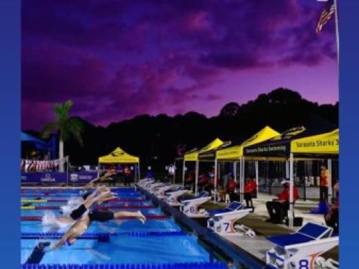 Sunsets at the Sarasota Sharks Photo 4