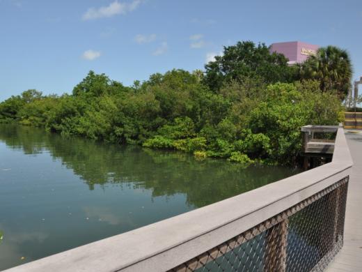 Central-Broadway Park Photo