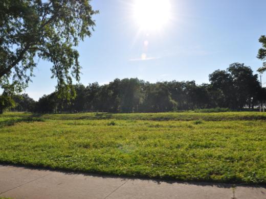 Circus Trail Nature Park Photo