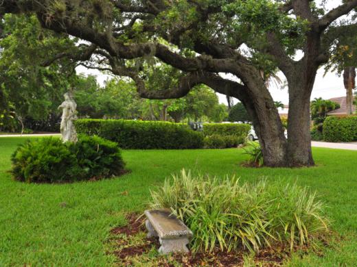 San Remo Park Photo