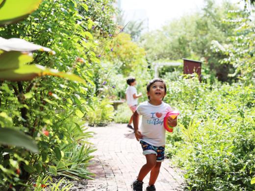 Be With Nature - Welcome to a restored, preserved and transformed blue and green oasis! Lose yourself in the natural beauty of The Bay and you’ll forget you’re in downtown Sarasota. And, make s... Photo