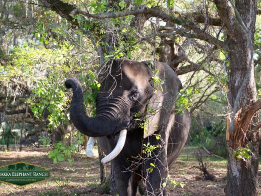 Non profit Conservation Center Photo 3