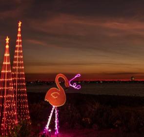 Light up trees and flamingos by water. in late evening