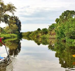 Alligator-Creek-Liz-Sandburg_032916.jpg Alligator-Creek-Liz-Sandburg_032916.jpg