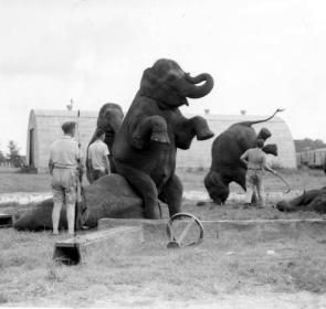 Animal trainers and elephants practicing their act- Venice, Florida - state archives of florida.jpg