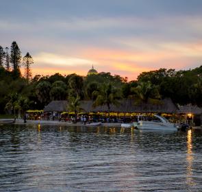 Chard. Photo Courtesy Nicole Coudal