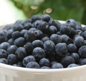 BlueberriesatHome__2017Opt.jpg