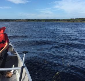 Canoeing-with-Gators-Matt-Sandburg_1__2017Opt.jpg