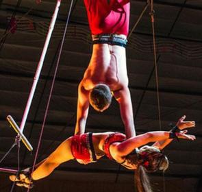 Circus Sarasota