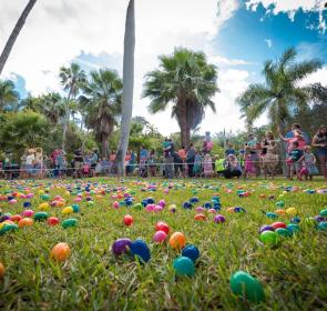 Easter Jungle Gardens Tim Cincotta.jpg Easter Jungle Gardens Tim Cincotta.jpg