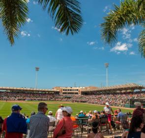 Baltimore Orioles at Ed Smith Stadium
