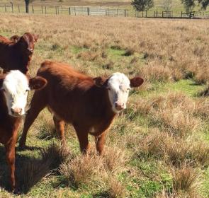FarmToursArticle_Unknown__OPT.jpg