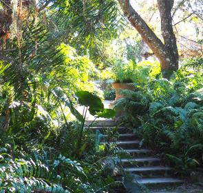 Jungle-Walk_SlideshowOpt.jpg