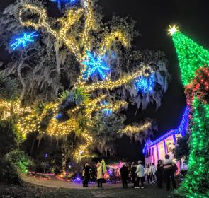 Lights in Bloom Selby Gardens 2019.JPG